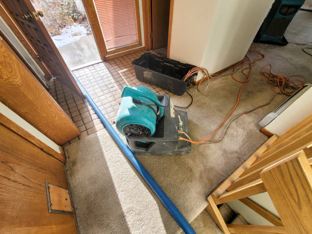 Best Water damage cleanup near me  in Grosse Pointe Park, MI