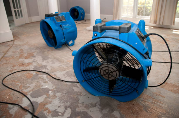 Best Residential water damage restoration  in Grosse Pointe Park, MI