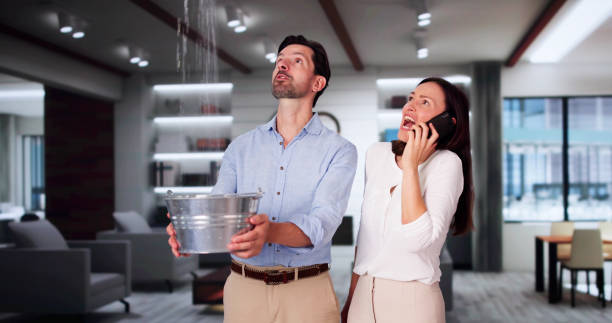 Best Flood damage cleanup  in Grosse Pointe Park, MI